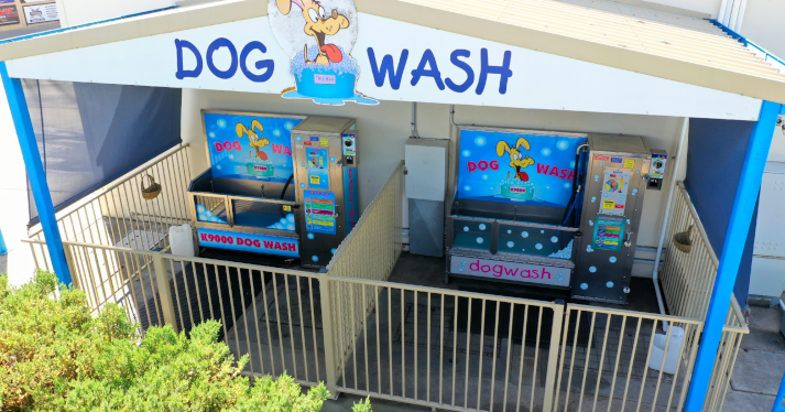 dog wash drone photo horizontal small